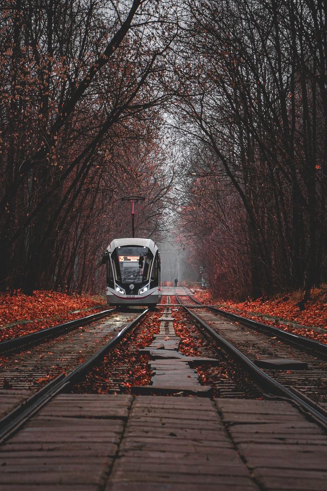 Photograph by Ярослав Зубков