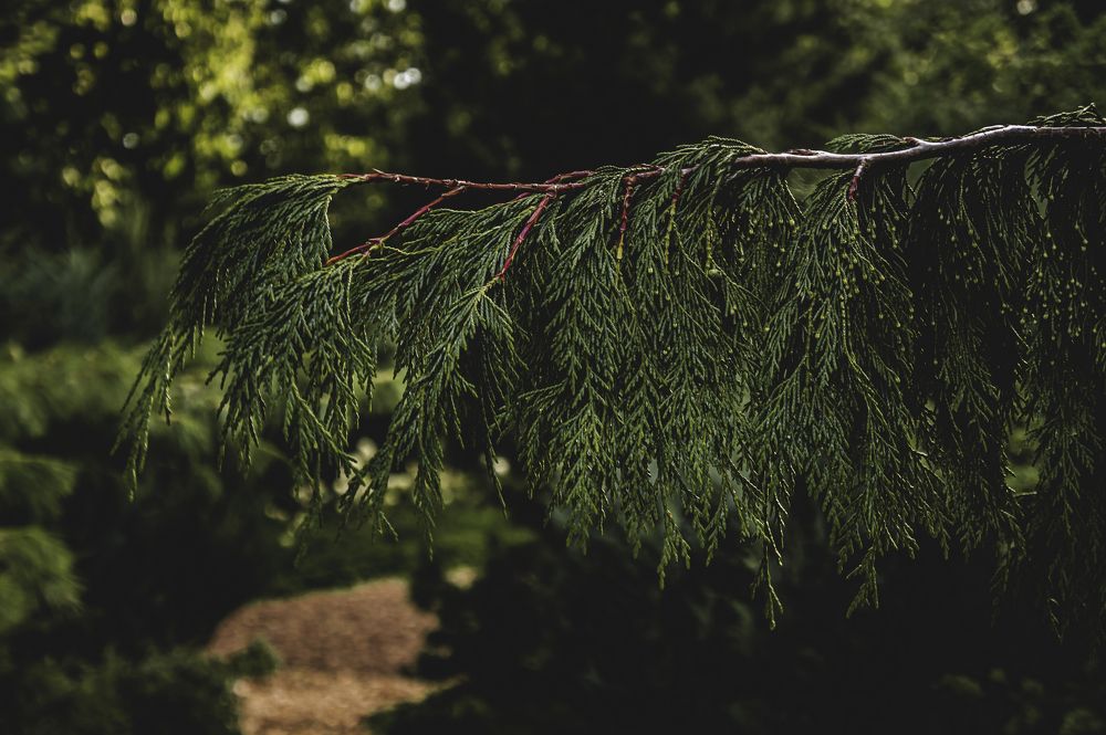 Photograph by Ярослав Зубков