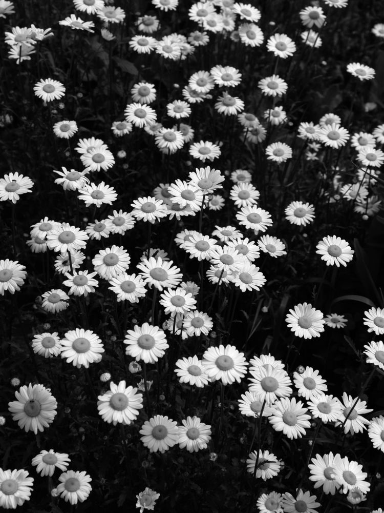 Photograph by Игорь Шевердин