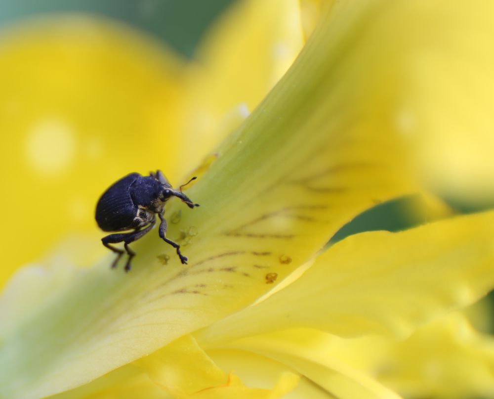 Photograph by Veronika Trubnikova