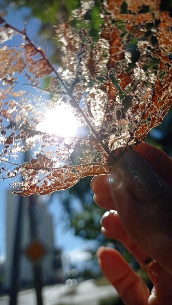 Photograph by Алла Узкая