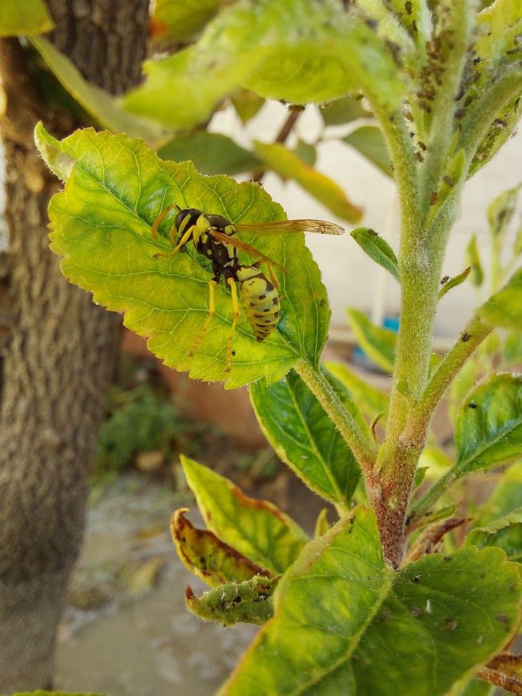 Photograph by Zahra HassanPour