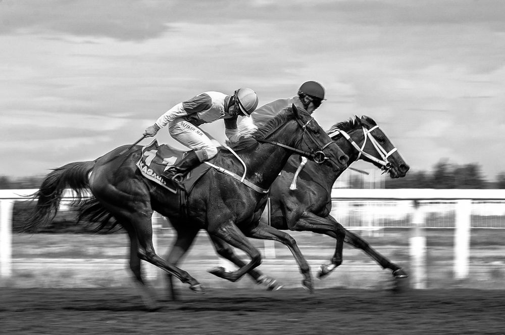 Photograph by Фатыхов Динар