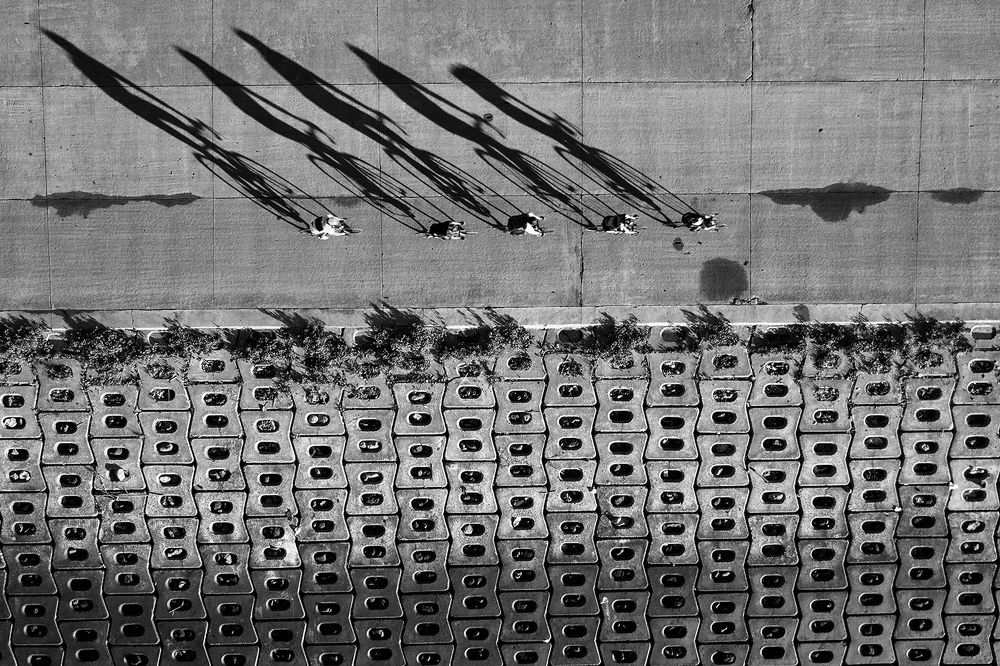 Photograph by Reginald de Guia