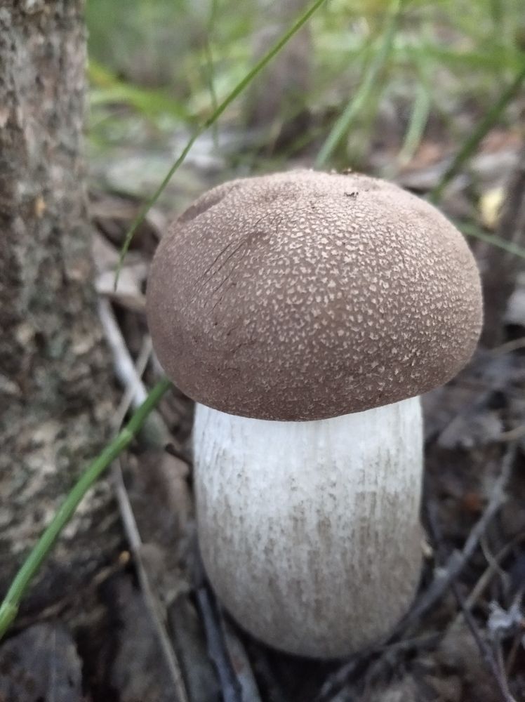 Photograph by Елена Коробченко