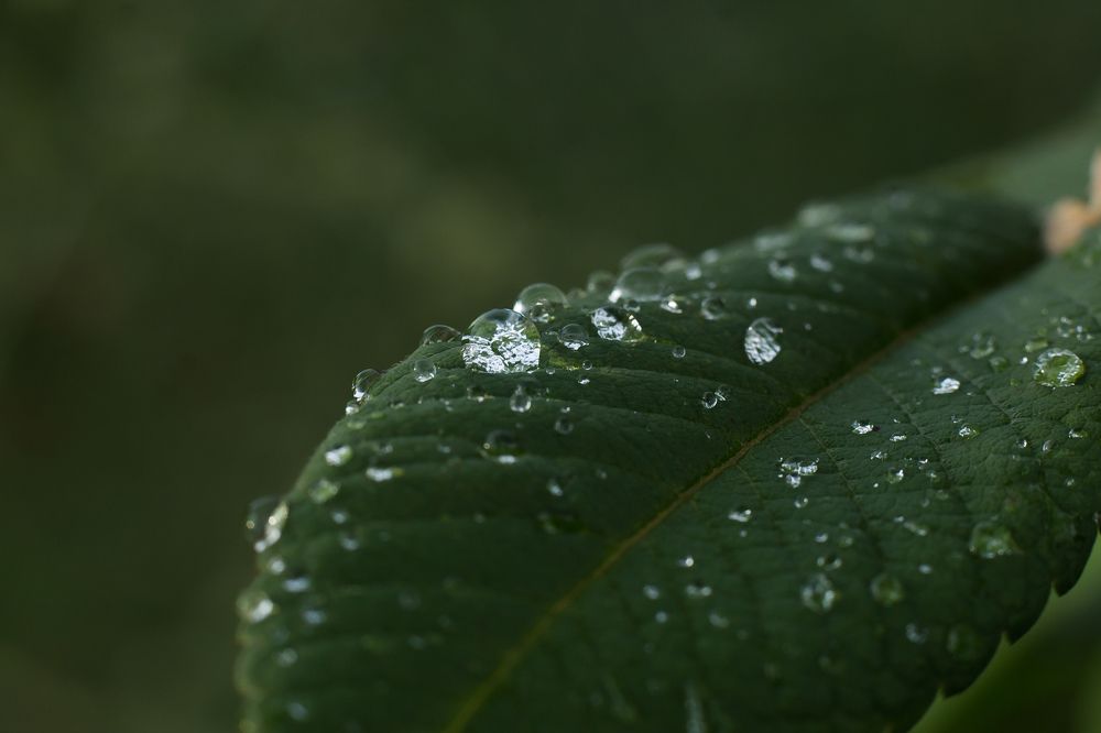 Photograph by Виктория Мамаева