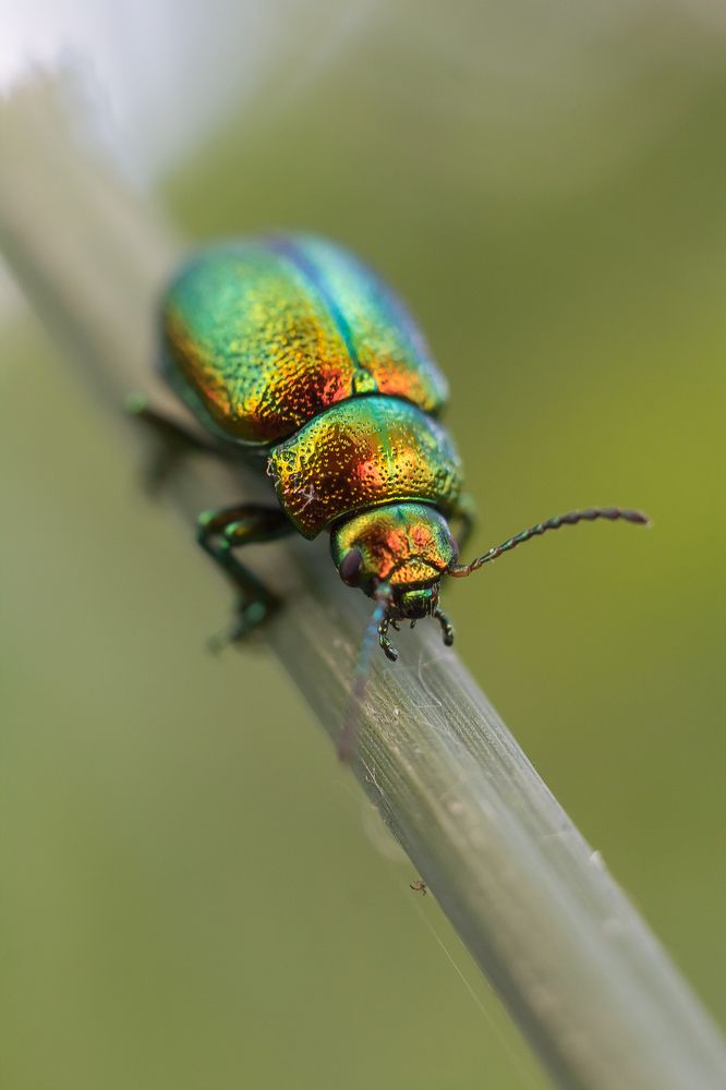 Photograph by Виктория Мамаева