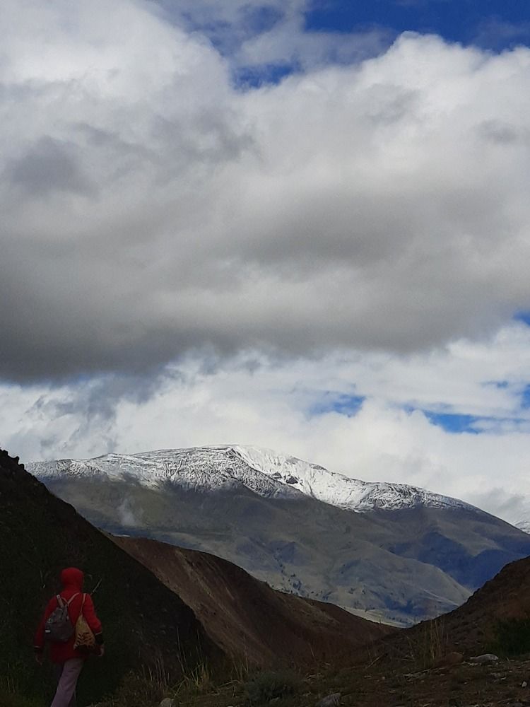 Photo #8005701