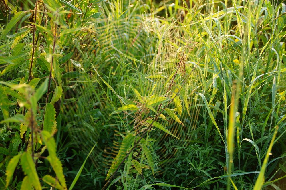 Photograph by Андрей Елькин