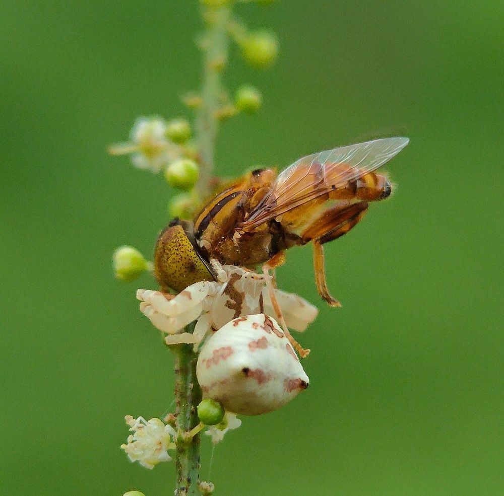 Photograph by Arijit Mahata