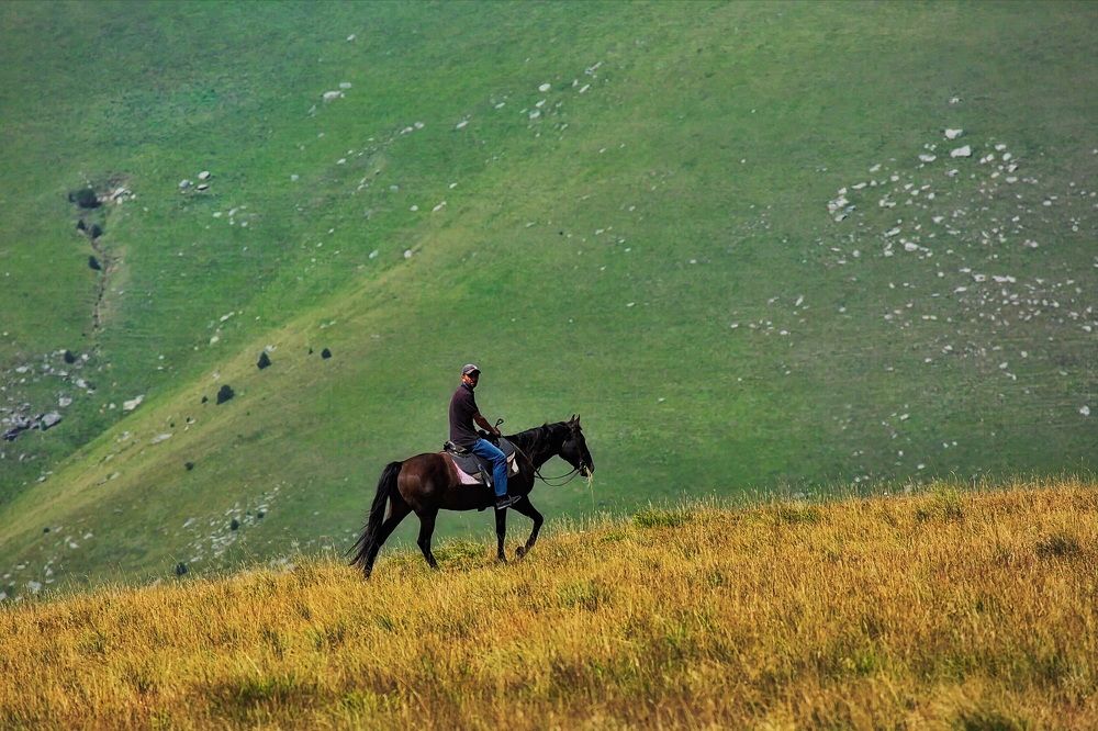 Photograph by Олег Раков