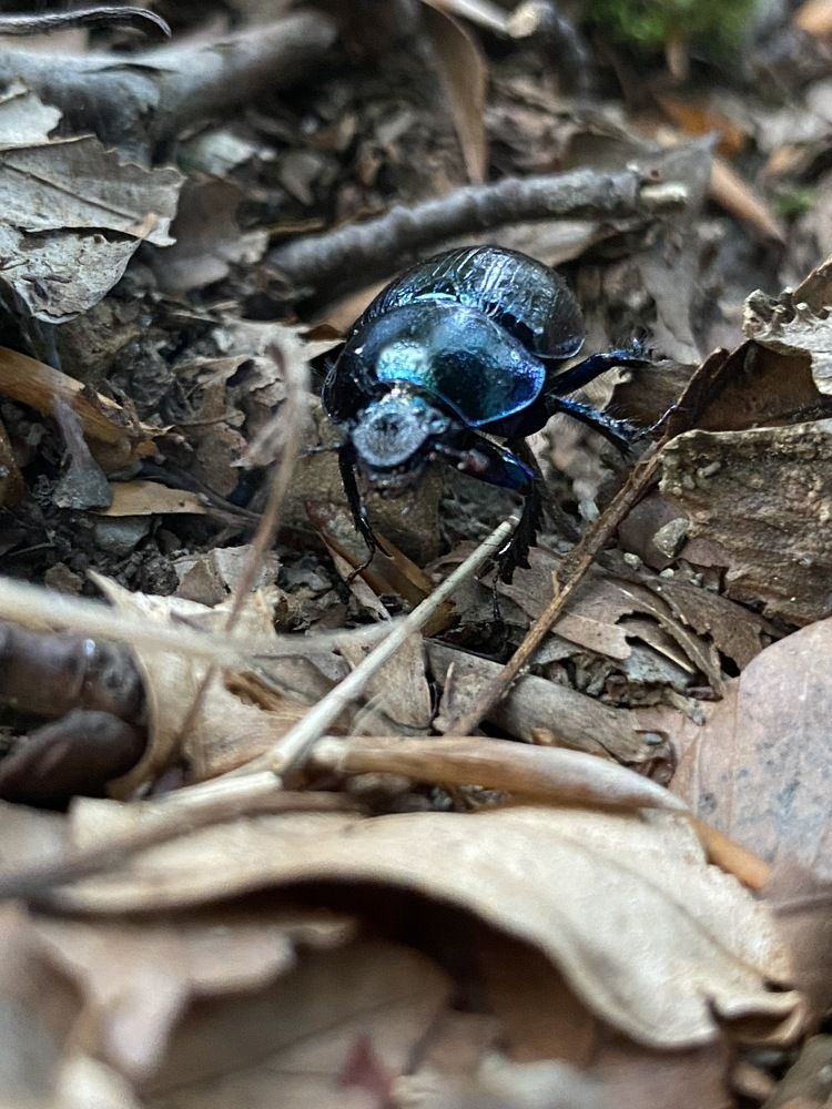 Photograph by Оксана Сидоренко