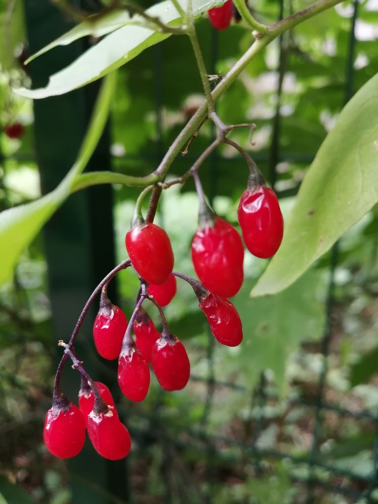 Photograph by Галина Смирнова