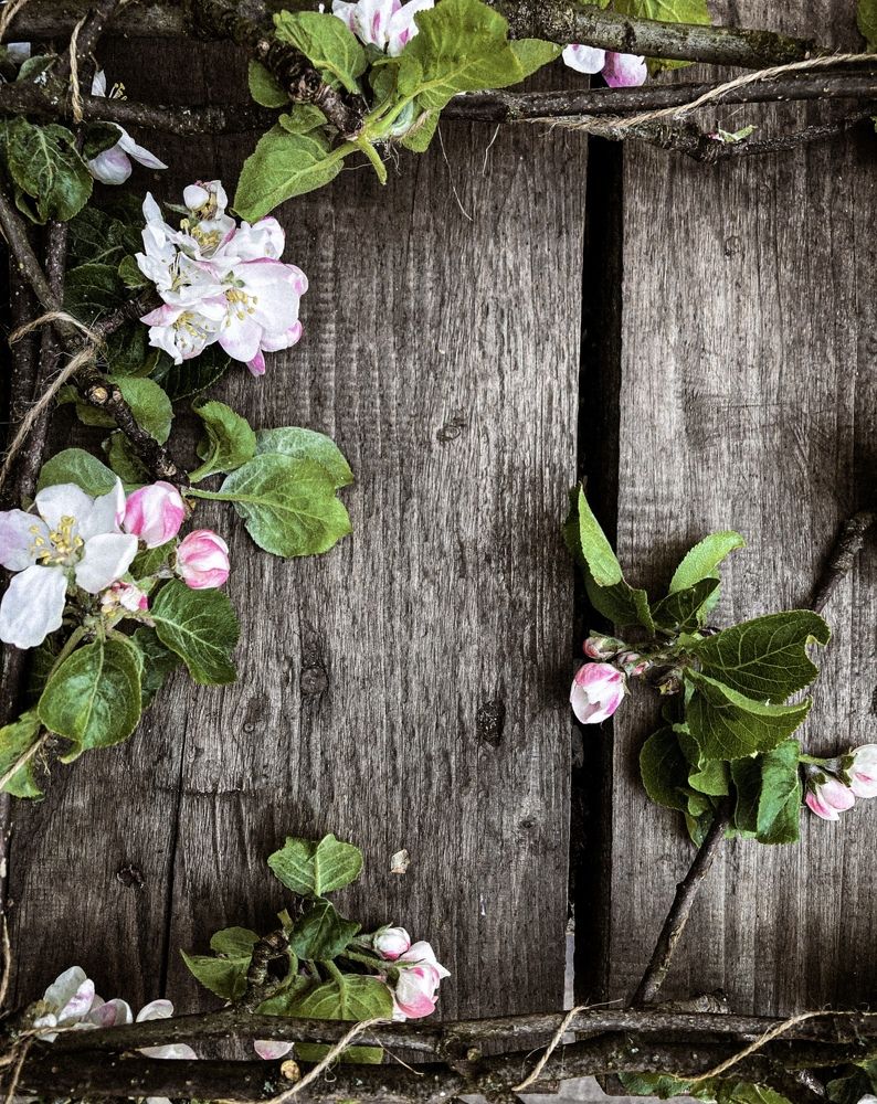 Photograph by Екатерина Нефедова