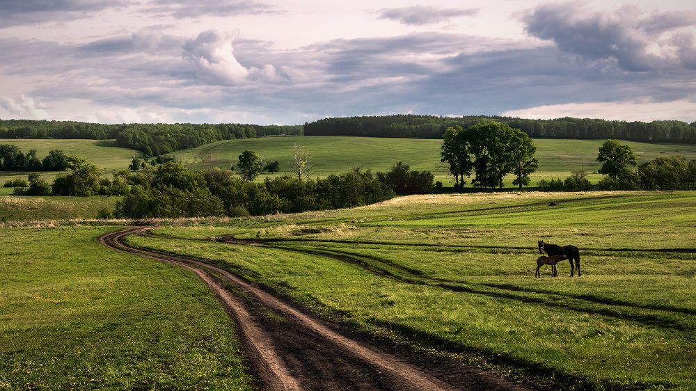 По первой травке...