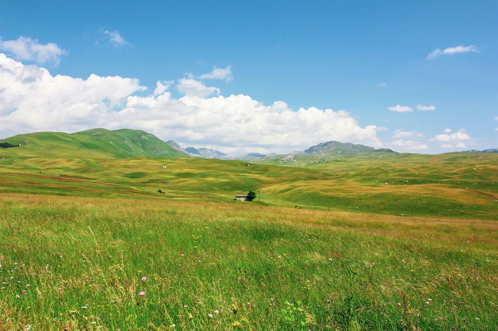 Photograph by Екатерина Нефедова