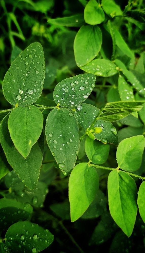 Photograph by Наталья Рау