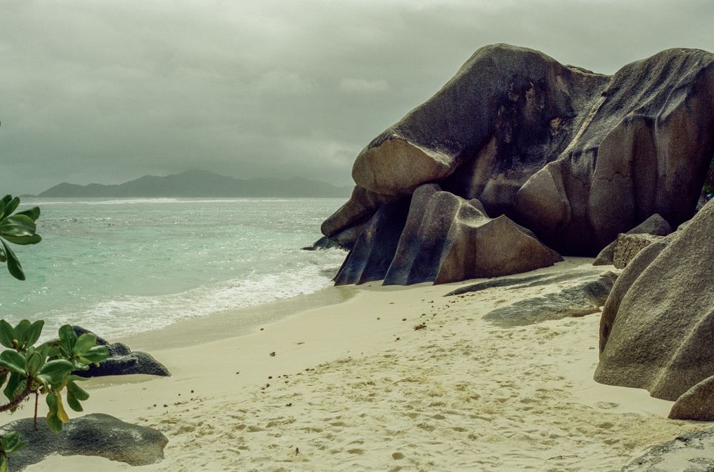 Photograph by Veronika Trubnikova