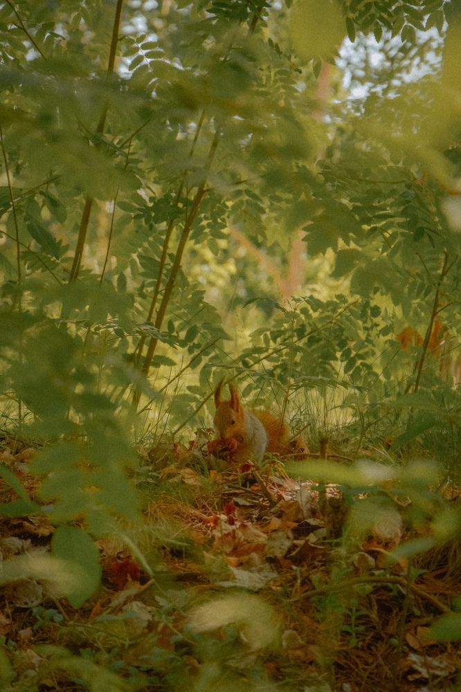 Фотография автора Ксения Вабищевич