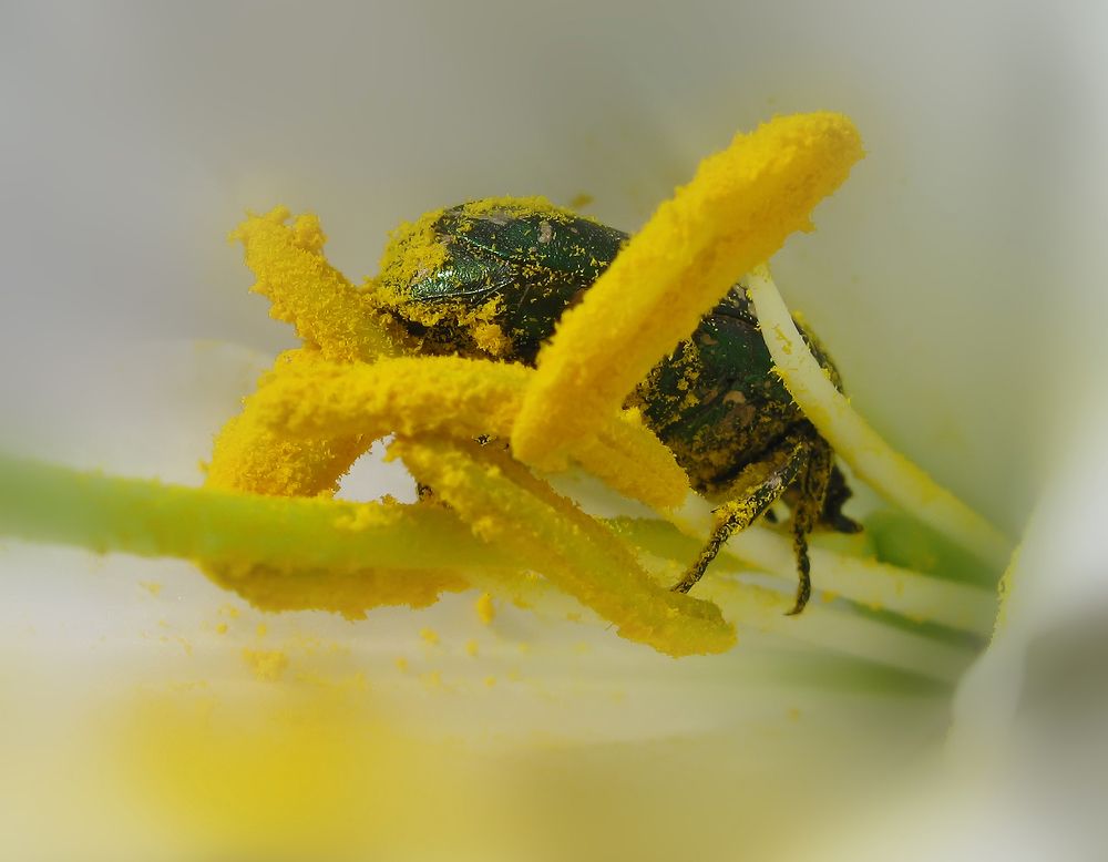 Извините, что я к вам задом...