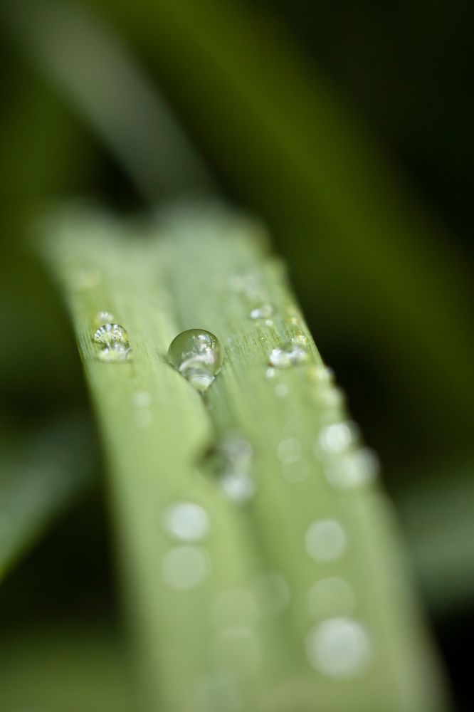 Photograph by Олег Терешкин