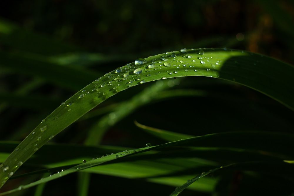 Photograph by Ирина Лаврова