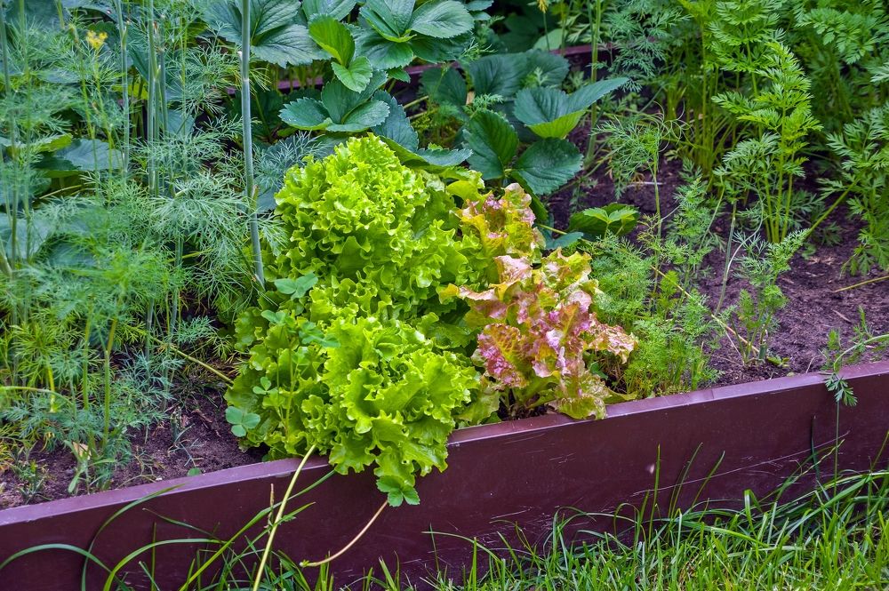 Photograph by Валерий Клейменов