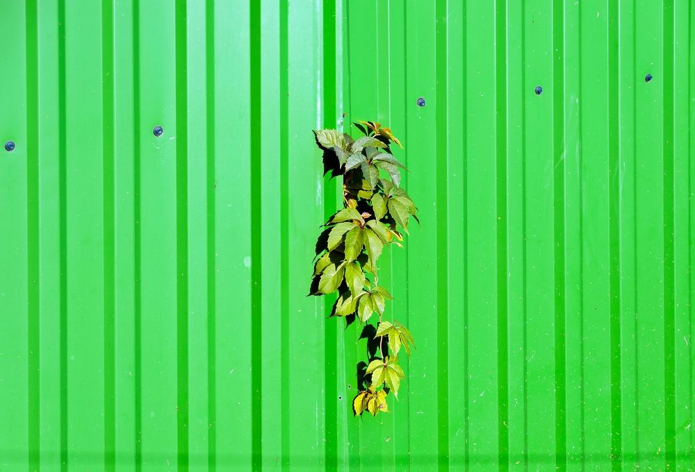 Photograph by Валерий