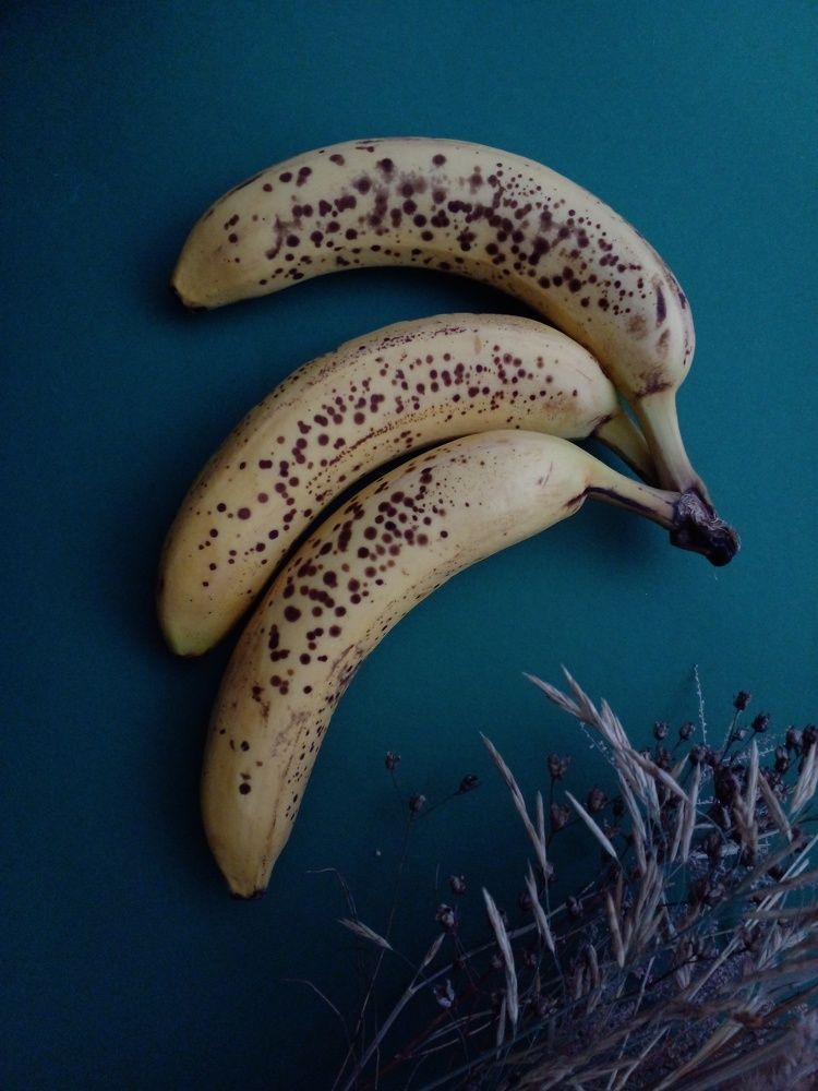 Фотография автора  Lizuza