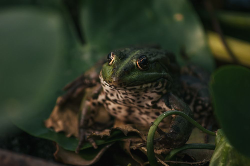 Photograph by Татьяна Зубехина