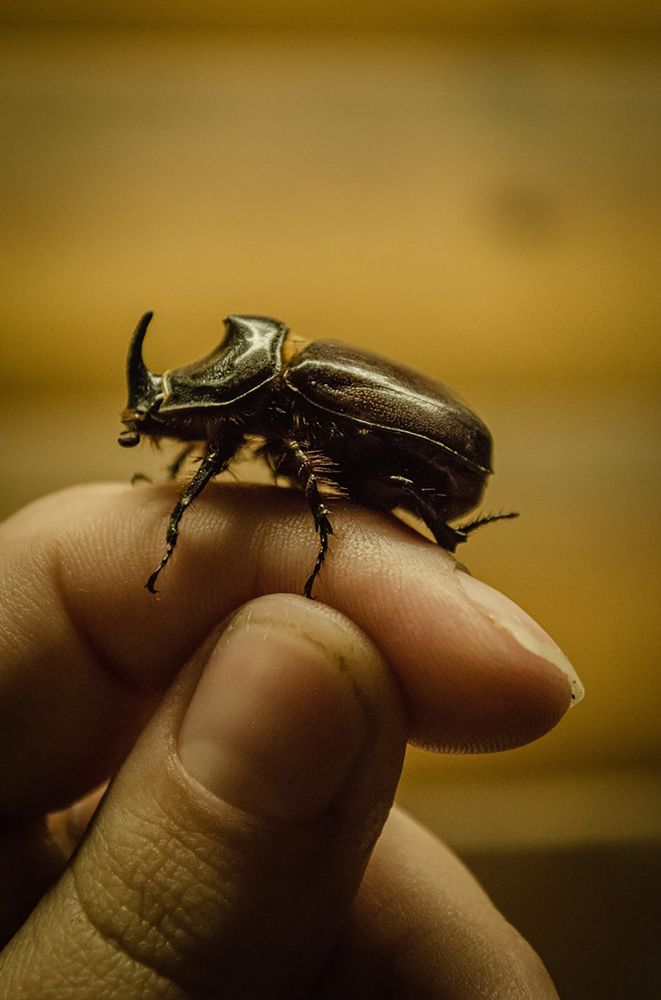 Photograph by Анна