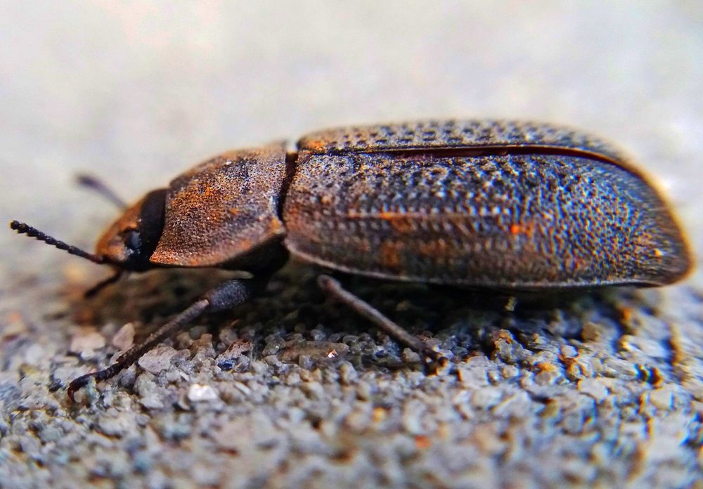 Photograph by Kapil Singh