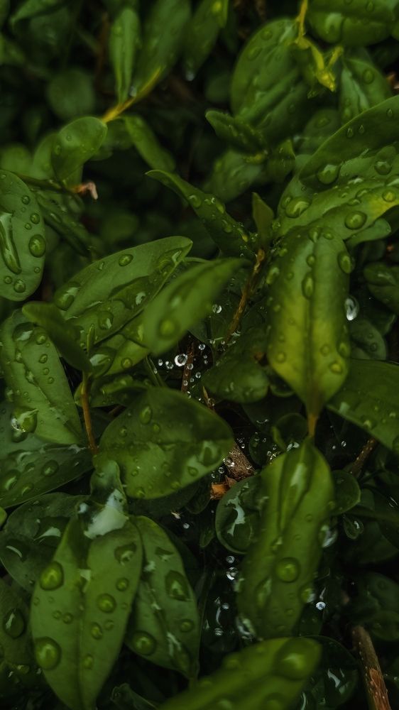 Photograph by Андрей Аушев