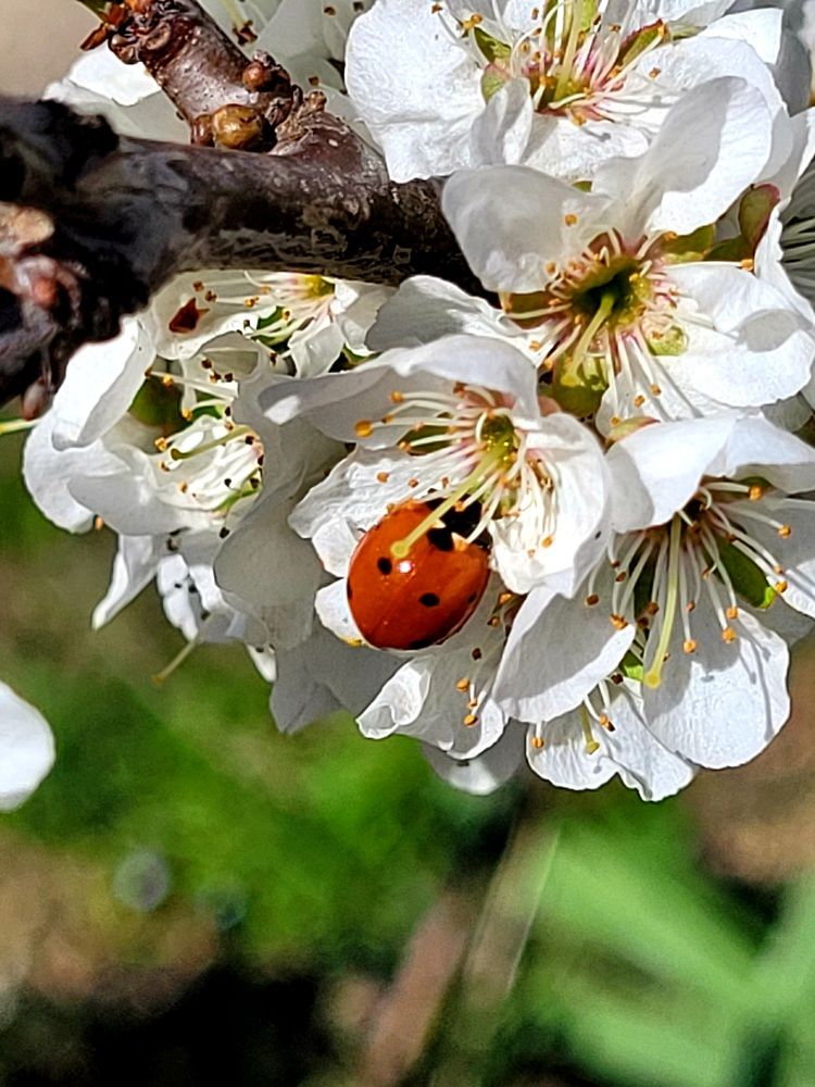 Photograph by Полина