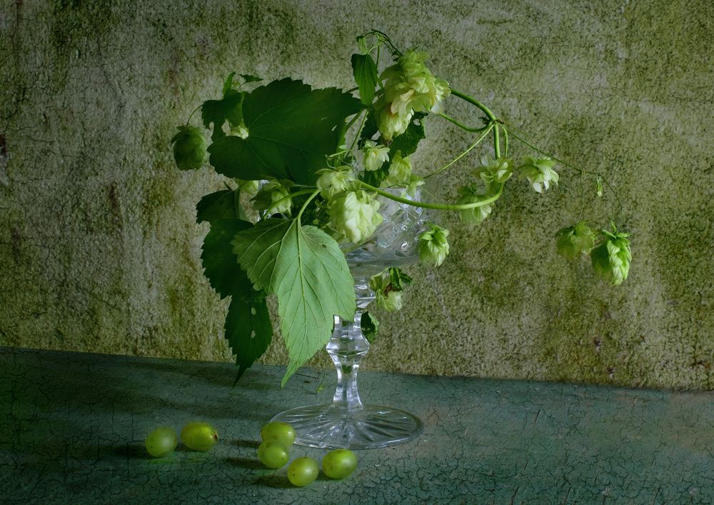 Фотография автора Оксана Льдинина