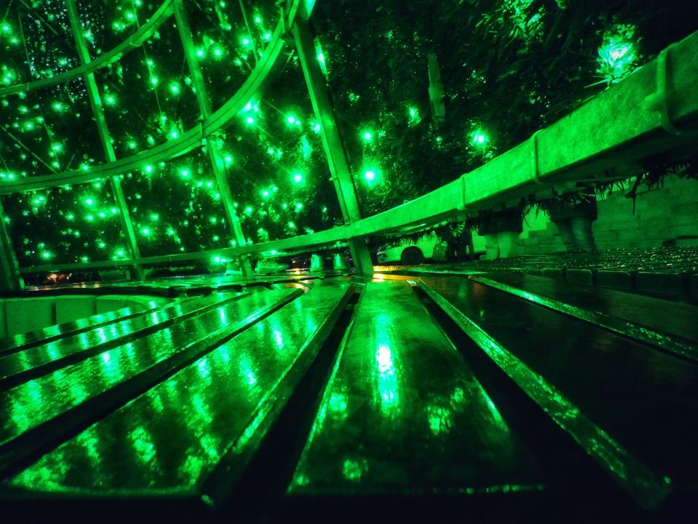 Photograph by Patrícia cruz