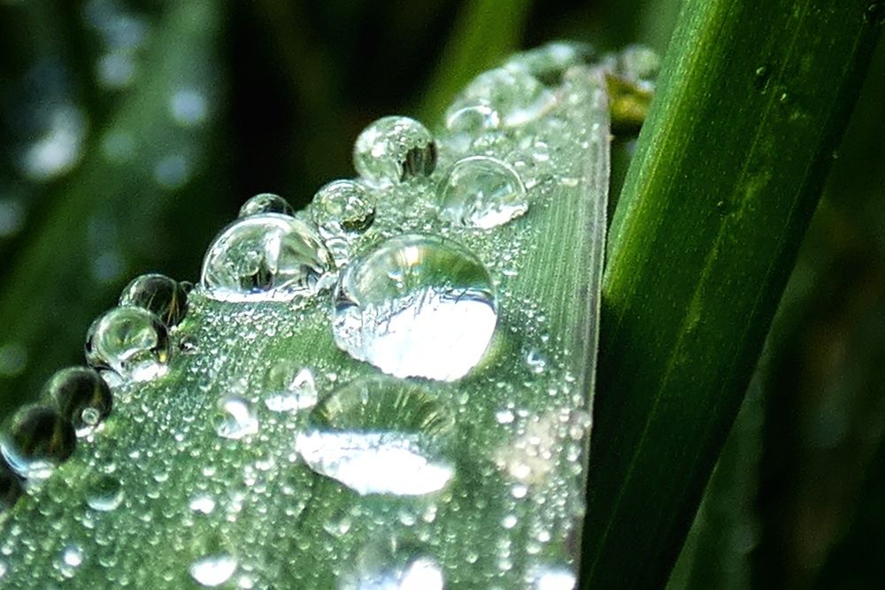 Photograph by Patrícia cruz