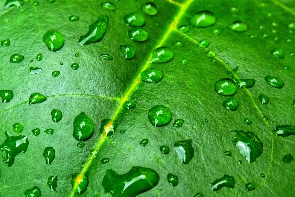 Photograph by Patrícia cruz