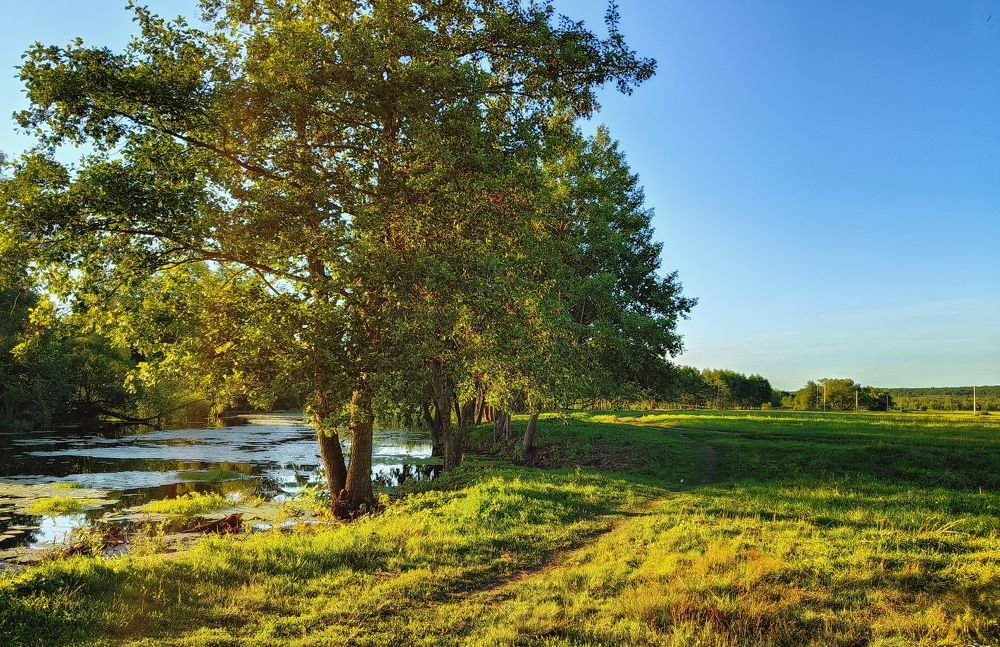 Photograph by Владимир Фролов