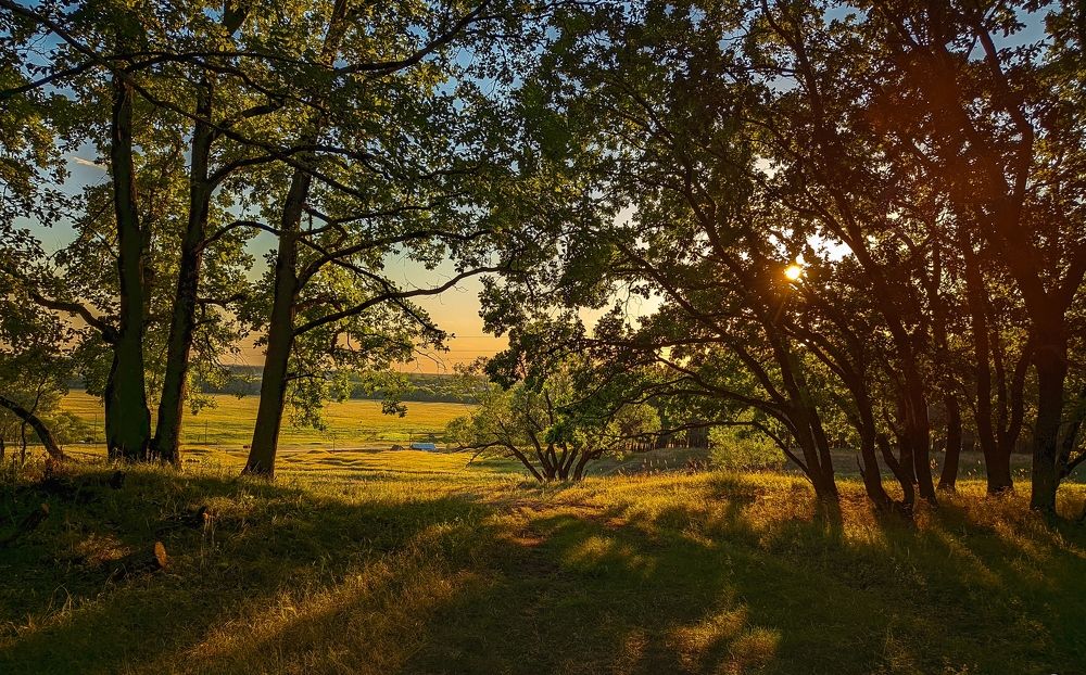Photograph by Владимир Фролов