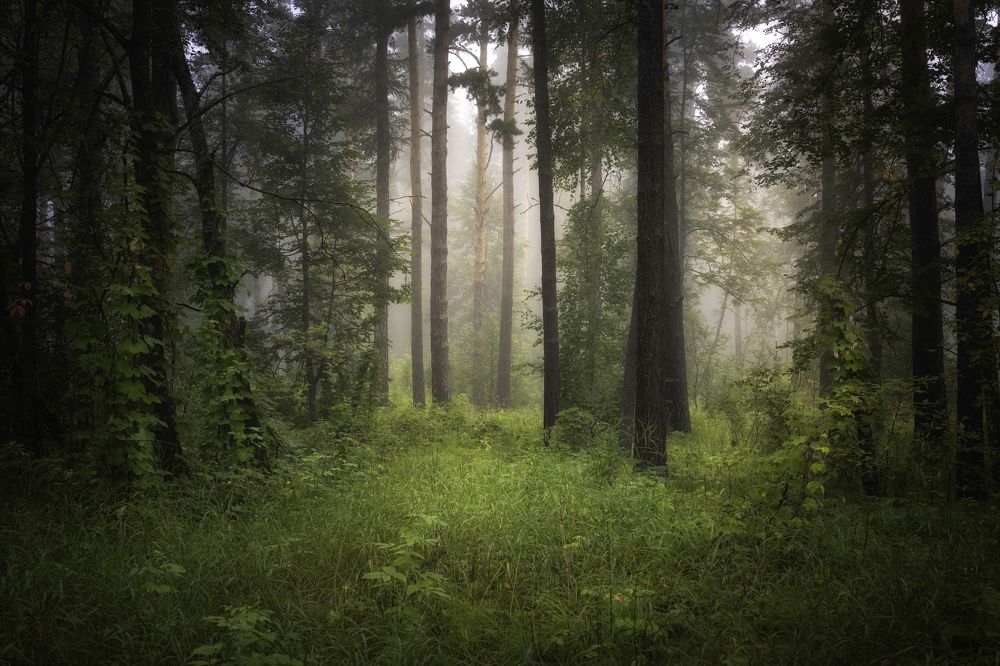 Photograph by Татьяна Бирюкова