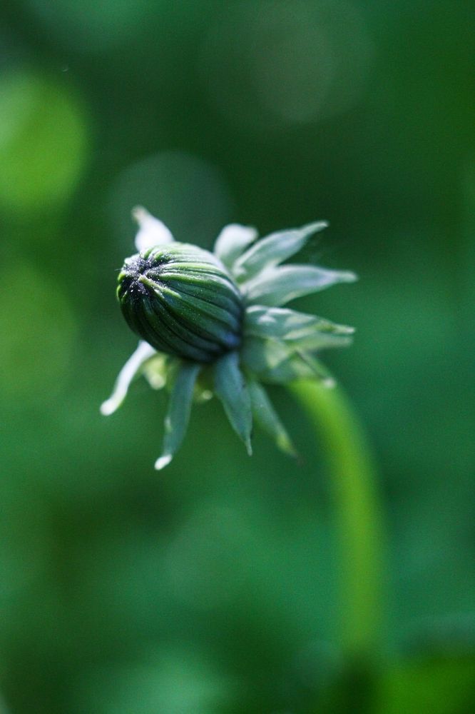 Photograph by Надежда Сидорова
