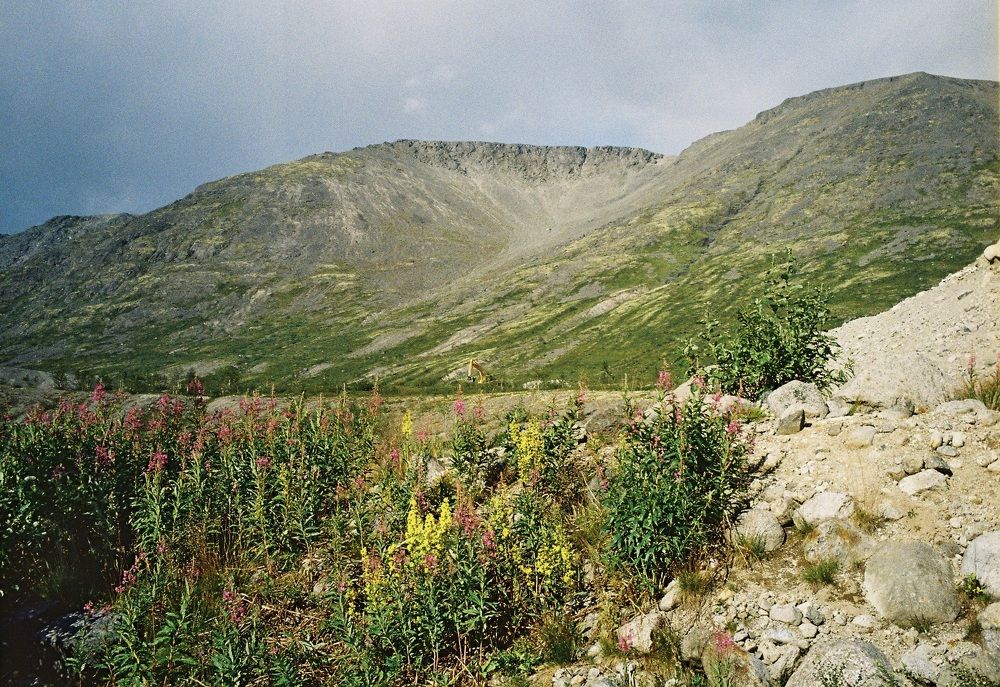 Photograph by Валерия Кутуева