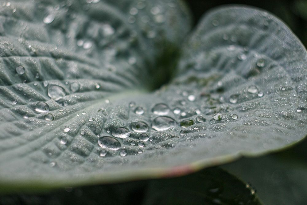 Photograph by Надежда Сидорова