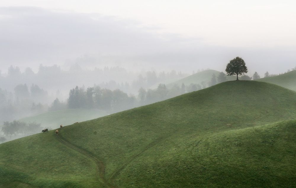 Photograph by Галина Хвостенко