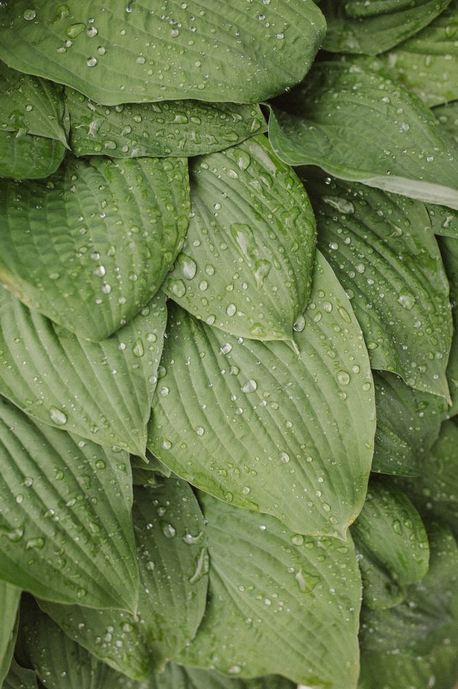 Photograph by Kseniya Zubkova