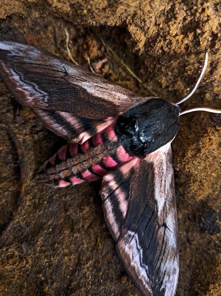 Фотография автора Татьяна Шахова