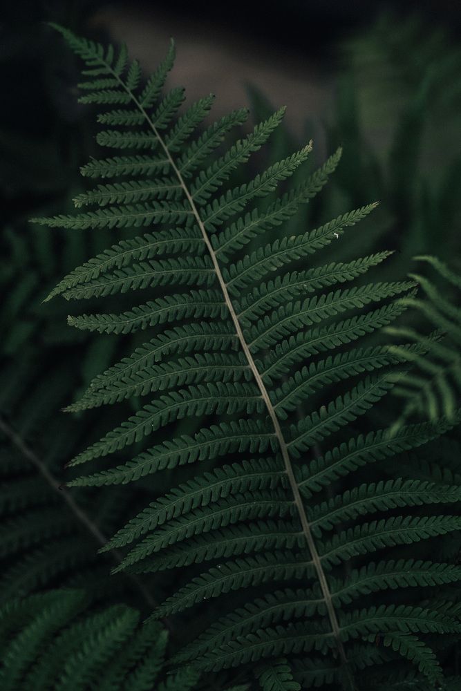 Фотография автора Алина Михайленко