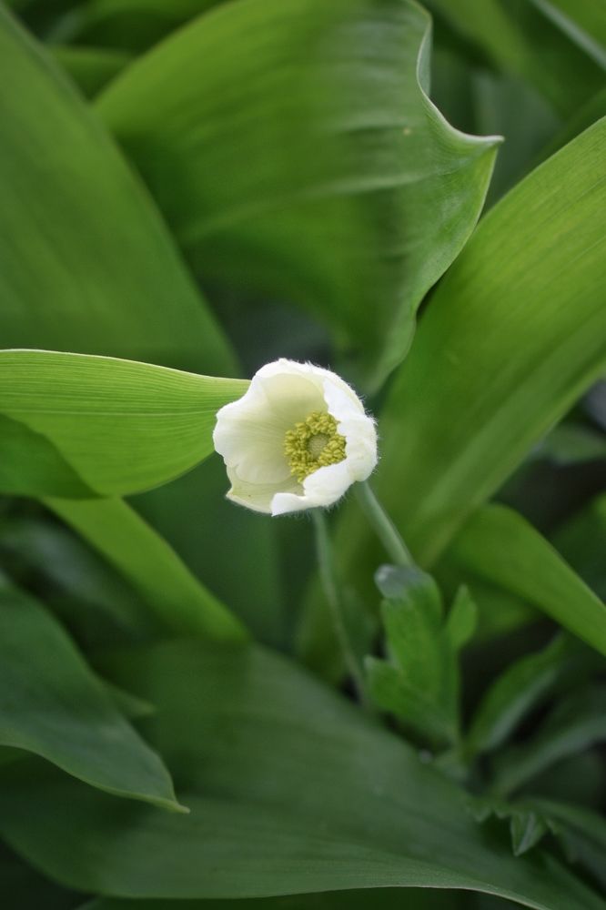 Photograph by Кира Бахвалова