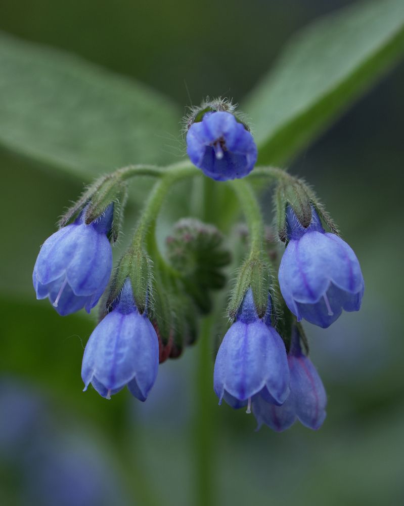 Photograph by Серегина Ирина